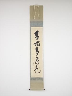 堀内家十二代兼中斎筆　「青松多寿色」一行書　肉筆紙本掛軸（共箱）